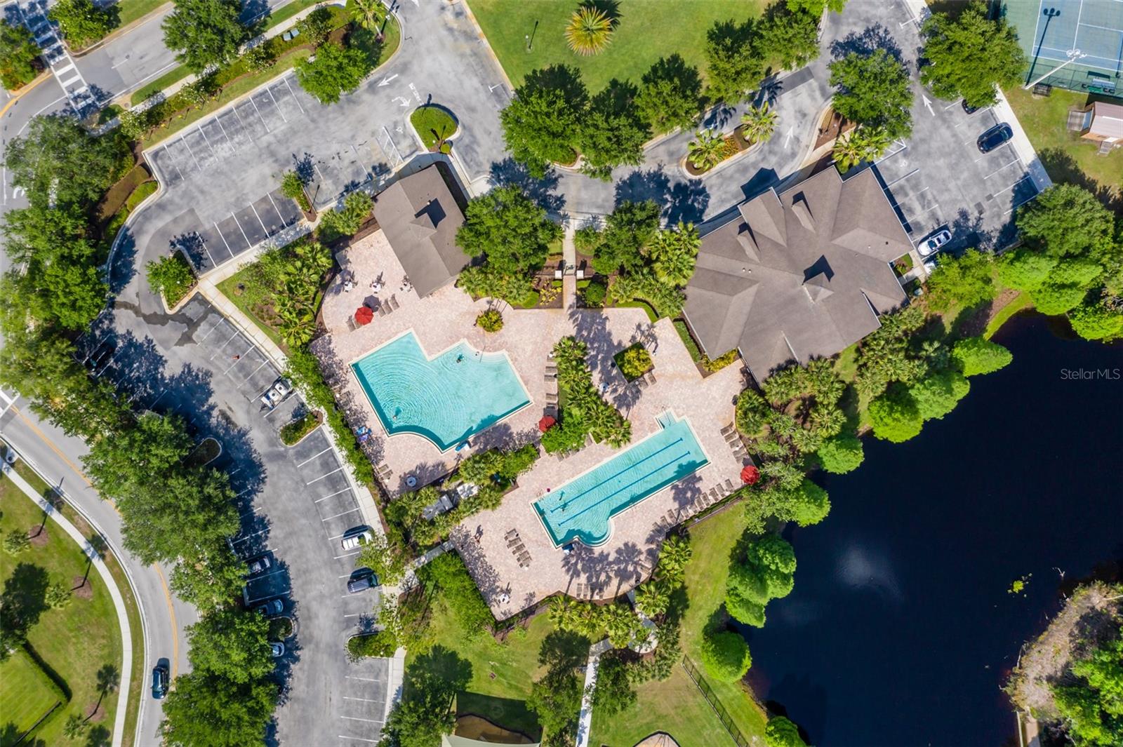 Image 54 of 65 For 4950 Diamonds Palm