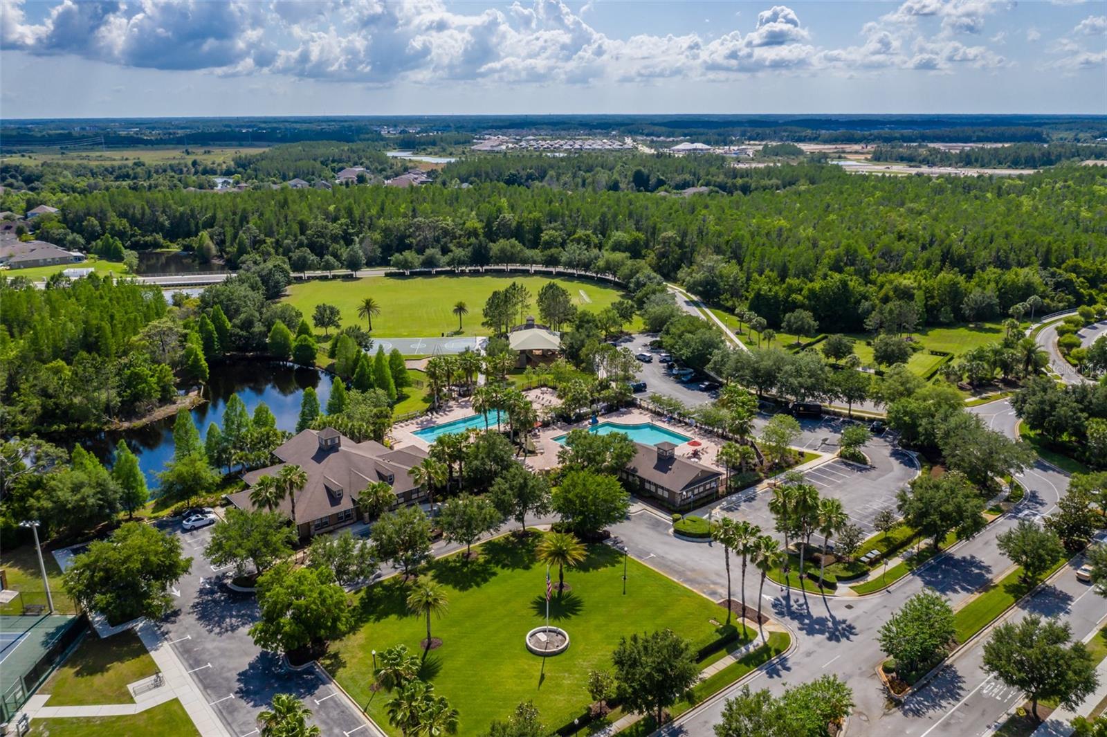 Image 55 of 65 For 4950 Diamonds Palm