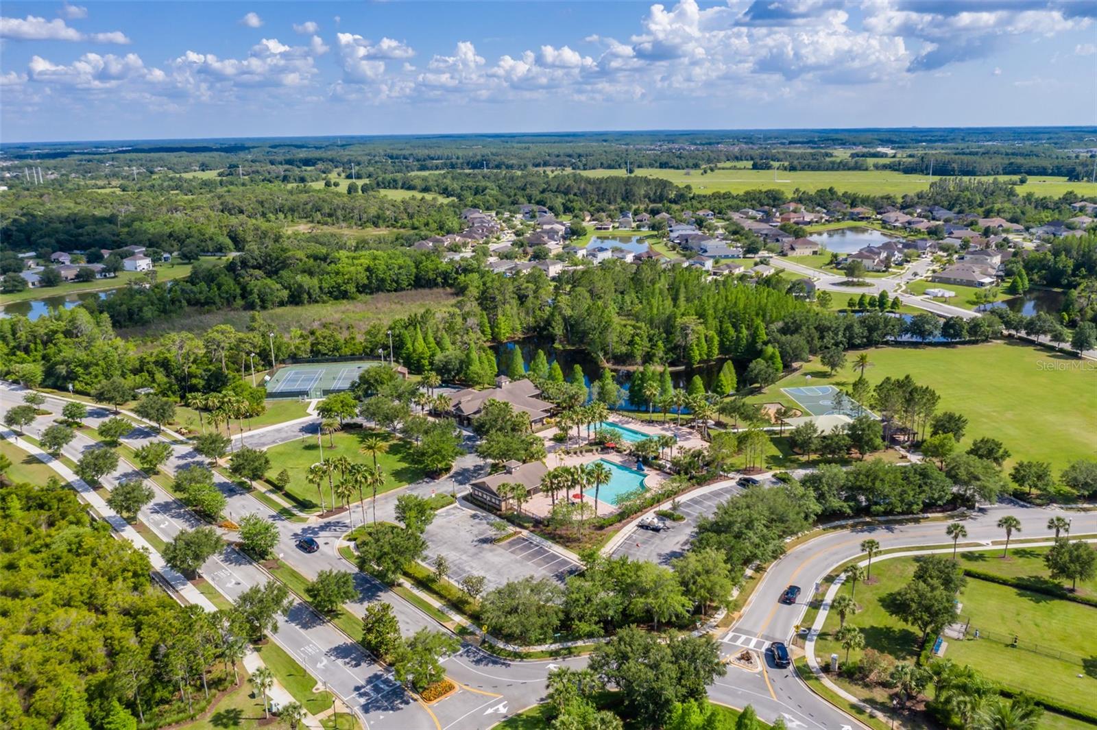 Image 56 of 65 For 4950 Diamonds Palm