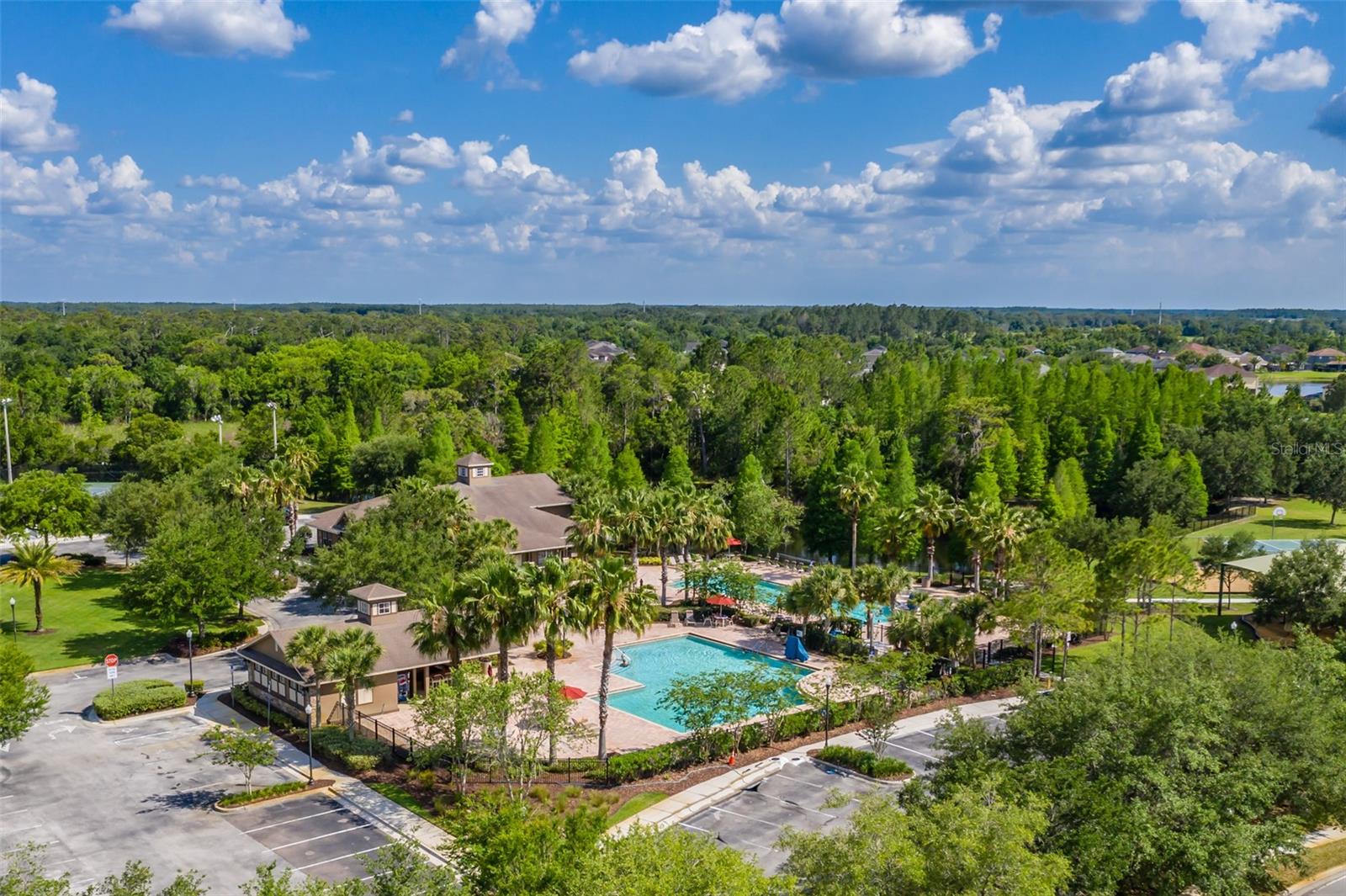 Image 58 of 65 For 4950 Diamonds Palm