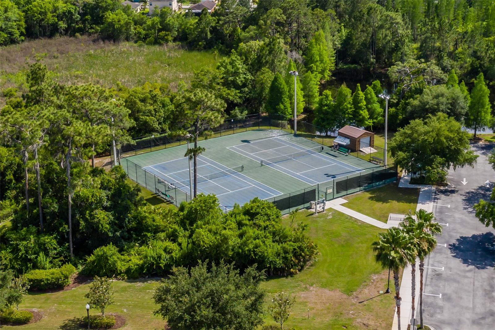 Image 59 of 65 For 4950 Diamonds Palm