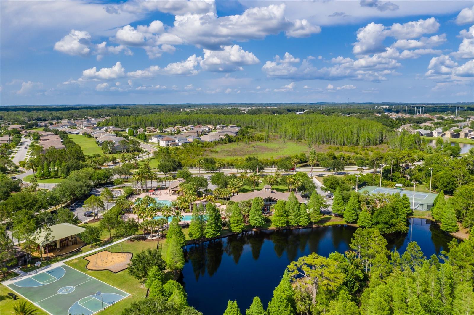 Image 60 of 65 For 4950 Diamonds Palm