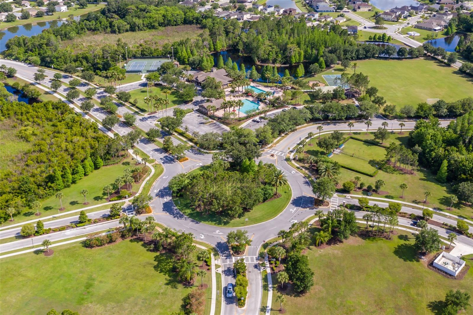 Image 62 of 65 For 4950 Diamonds Palm