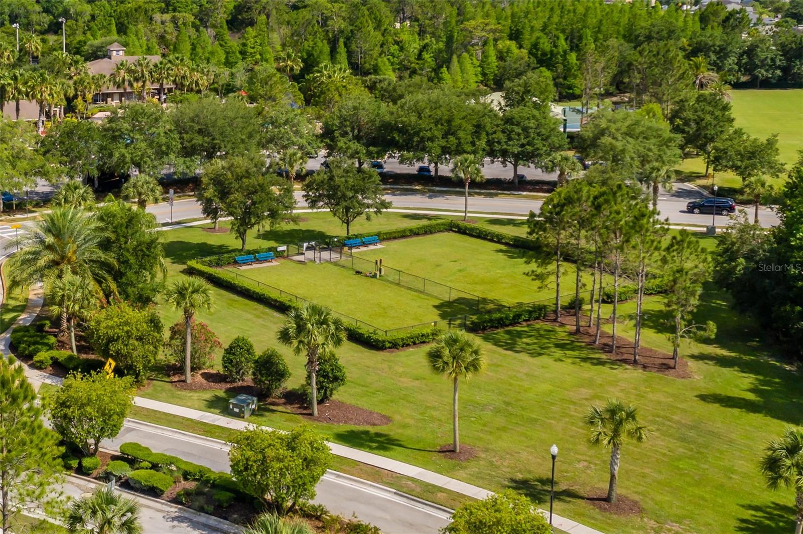 Image 64 of 65 For 4950 Diamonds Palm