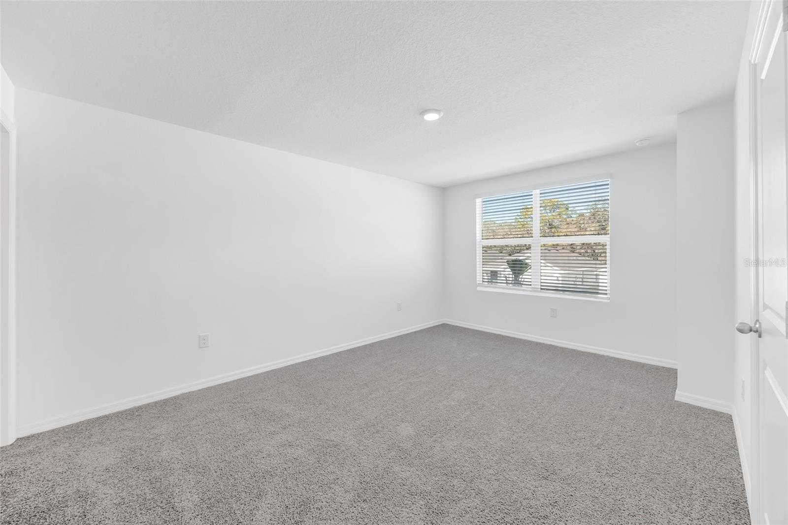 Image 15 of 33 For 1011 Spotted Egret Loop