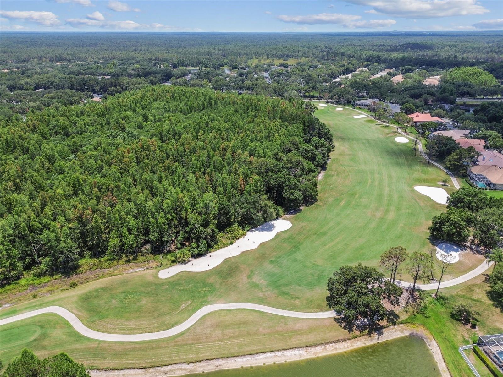 Image 7 of 100 For 9105 Woodridge Run Drive