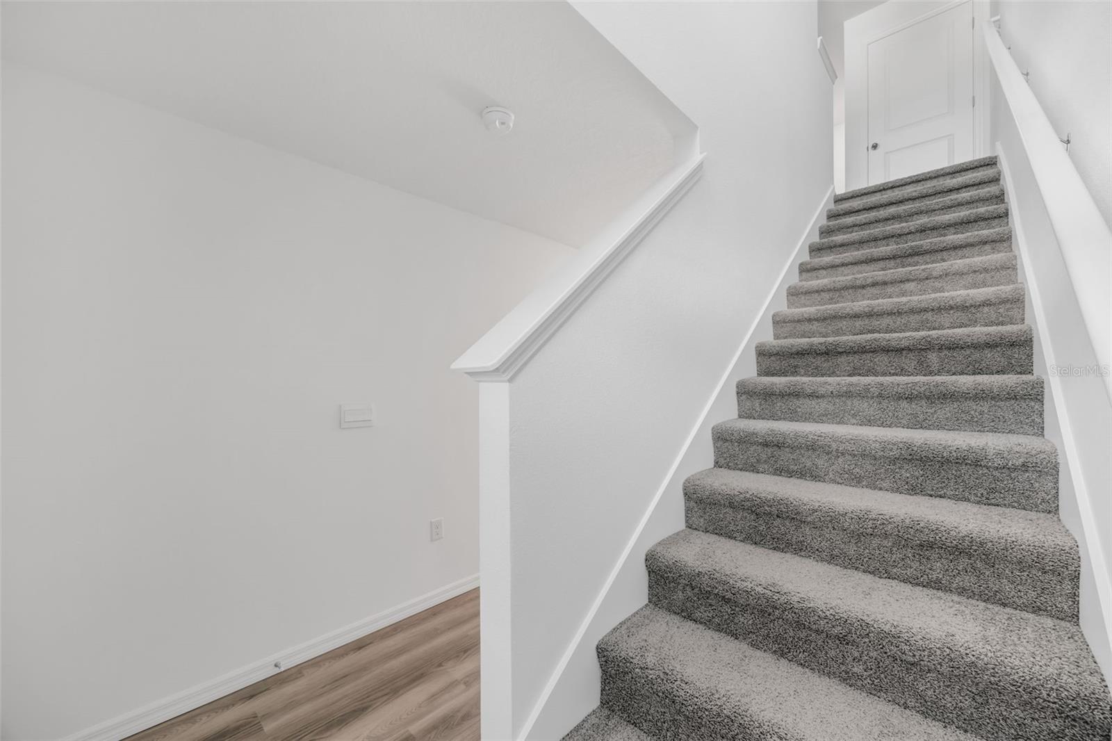 Image 15 of 33 For 1009 Spotted Egret Loop