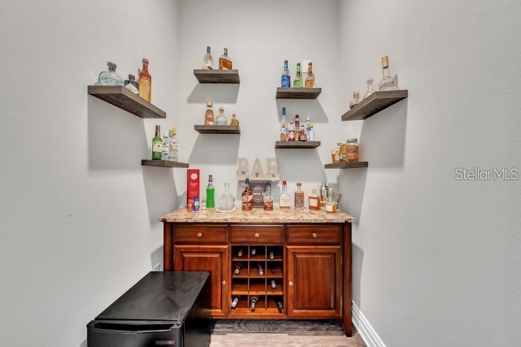 Image 41 of 80 For 14919 Fishhawk Preserve Drive