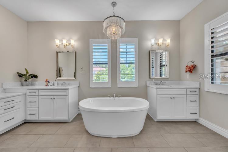 Image 52 of 80 For 14919 Fishhawk Preserve Drive