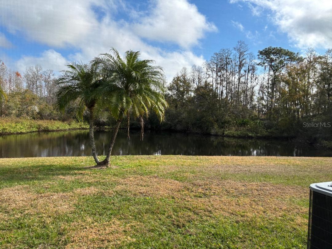 Image 38 of 49 For 1932 Grenville Court