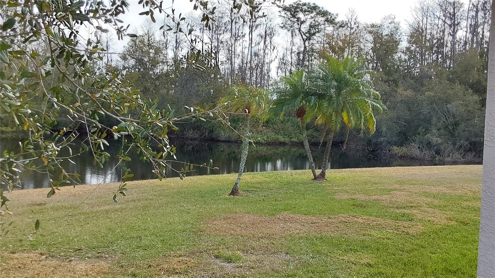 Image 43 of 49 For 1932 Grenville Court