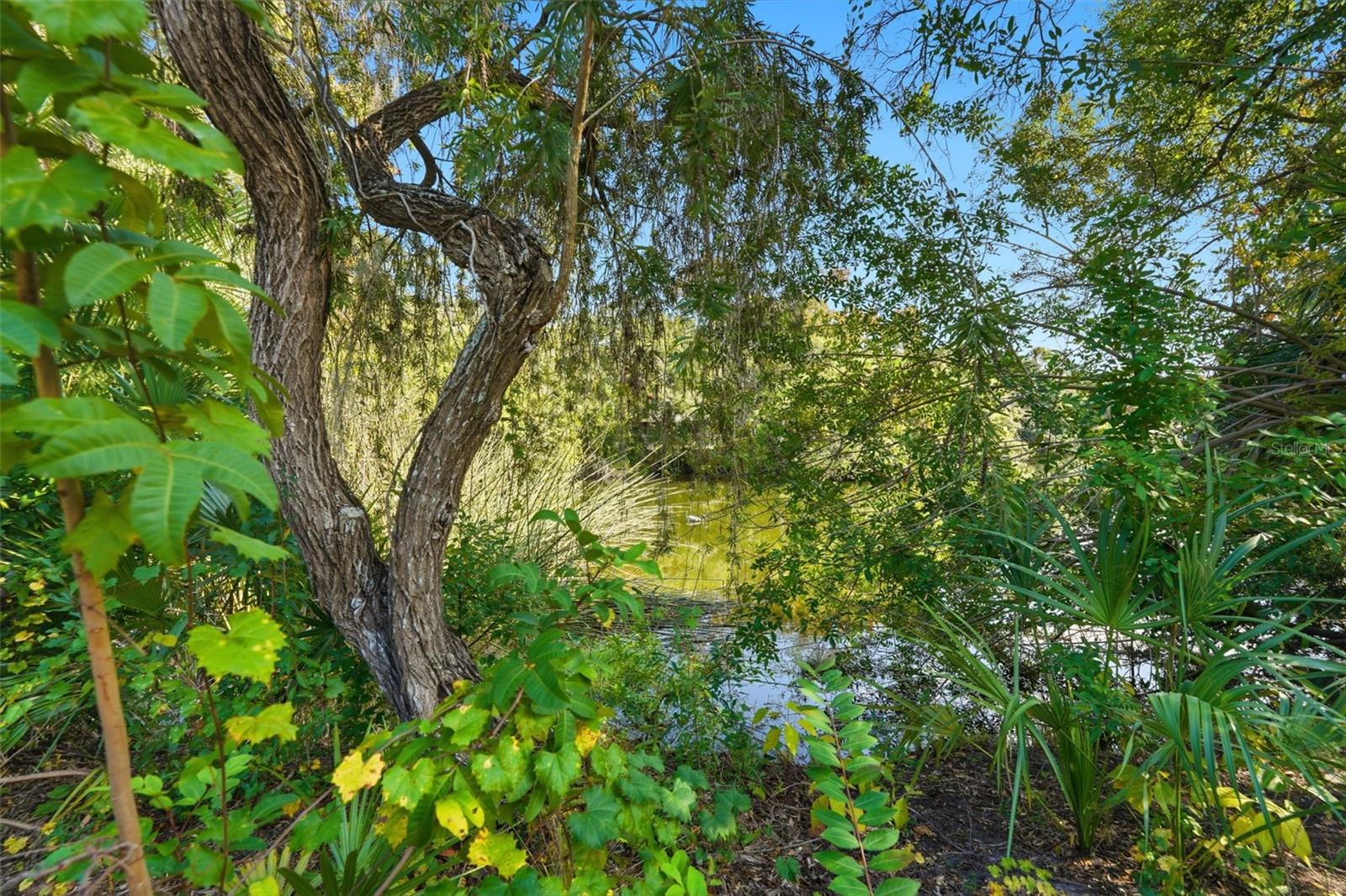 Image 47 of 54 For 1761 Long Bow Lane