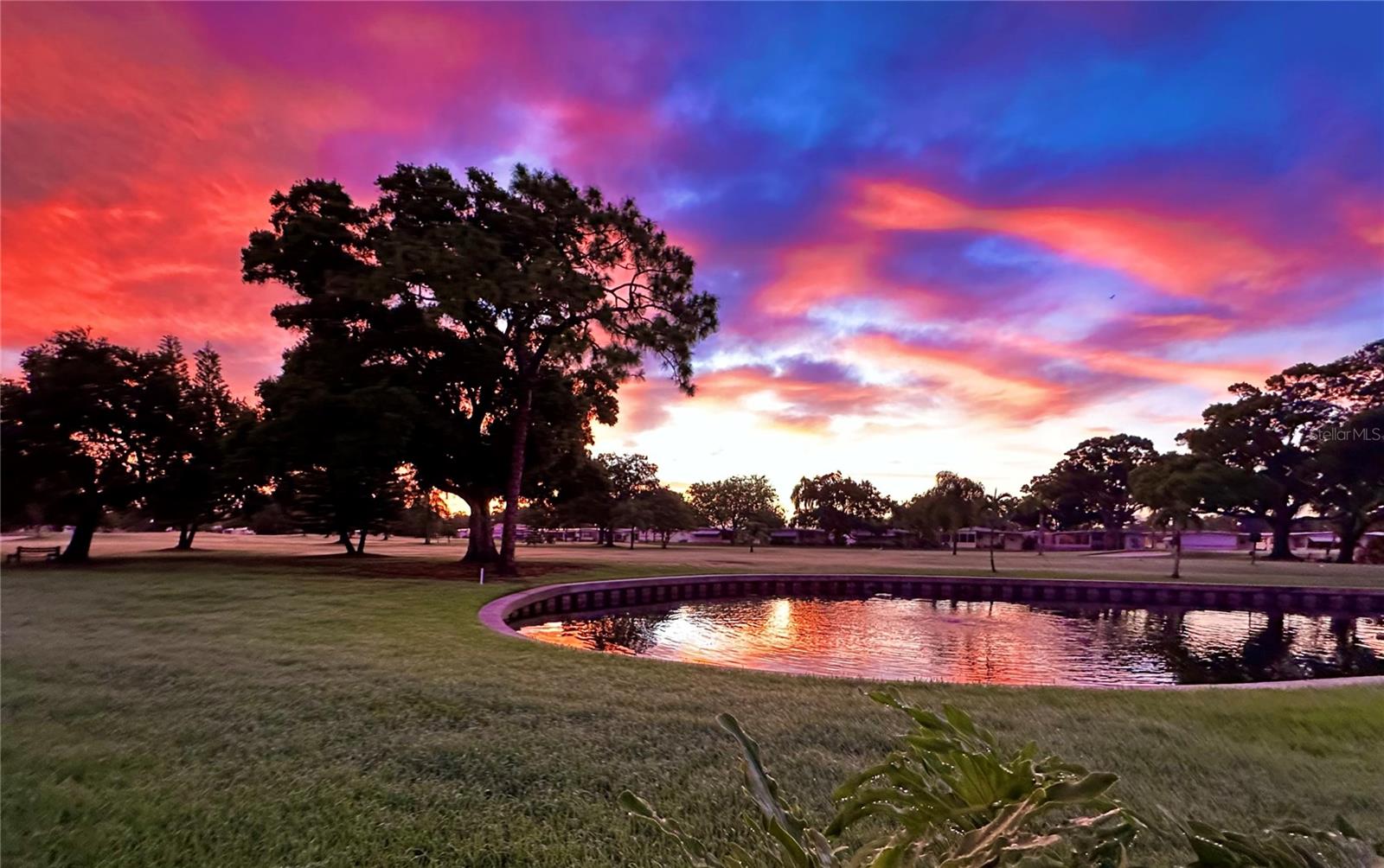 Listing photo id 1 for 1100 Belcher Road S 152