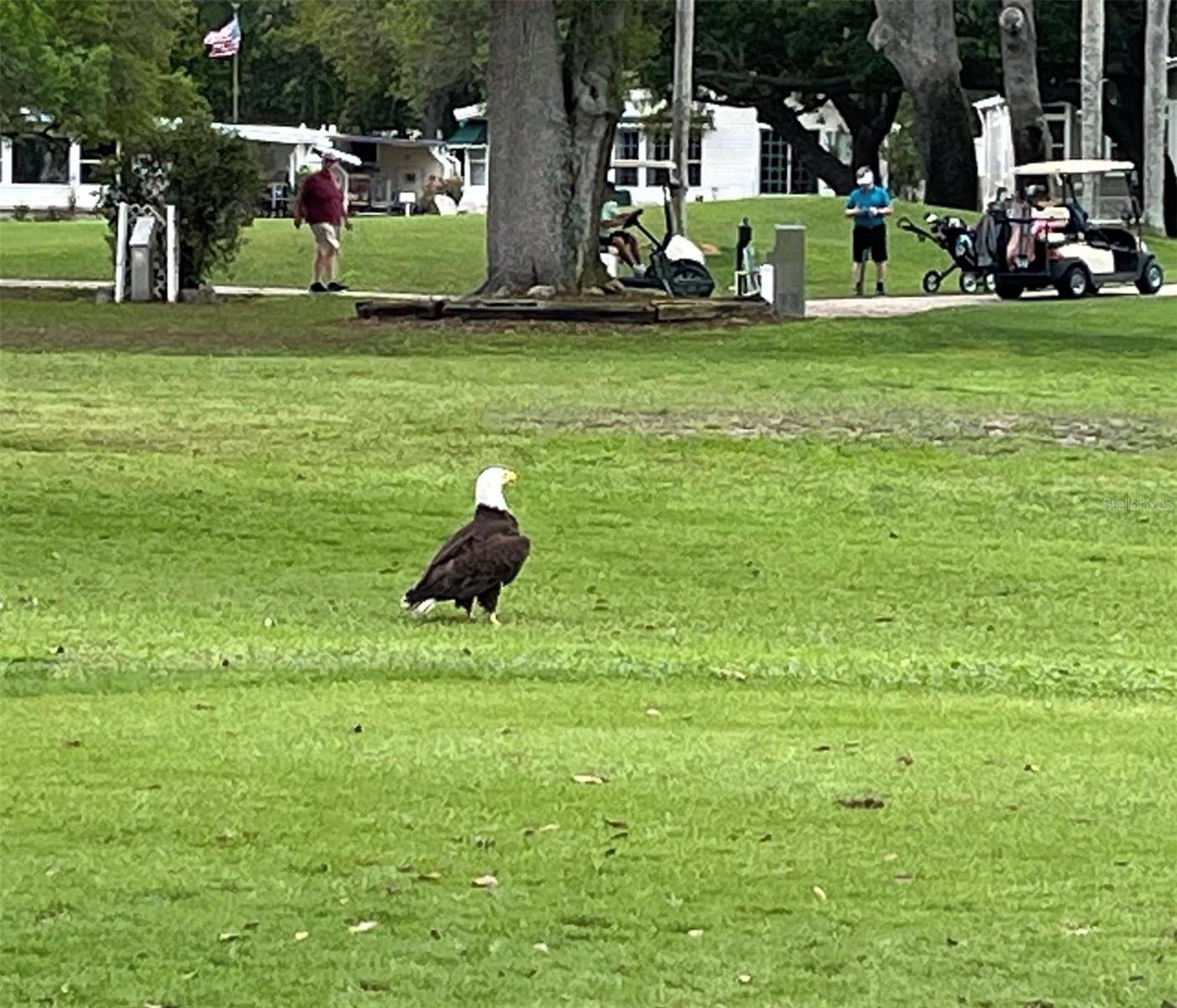 Listing photo id 7 for 1100 Belcher Road S 152