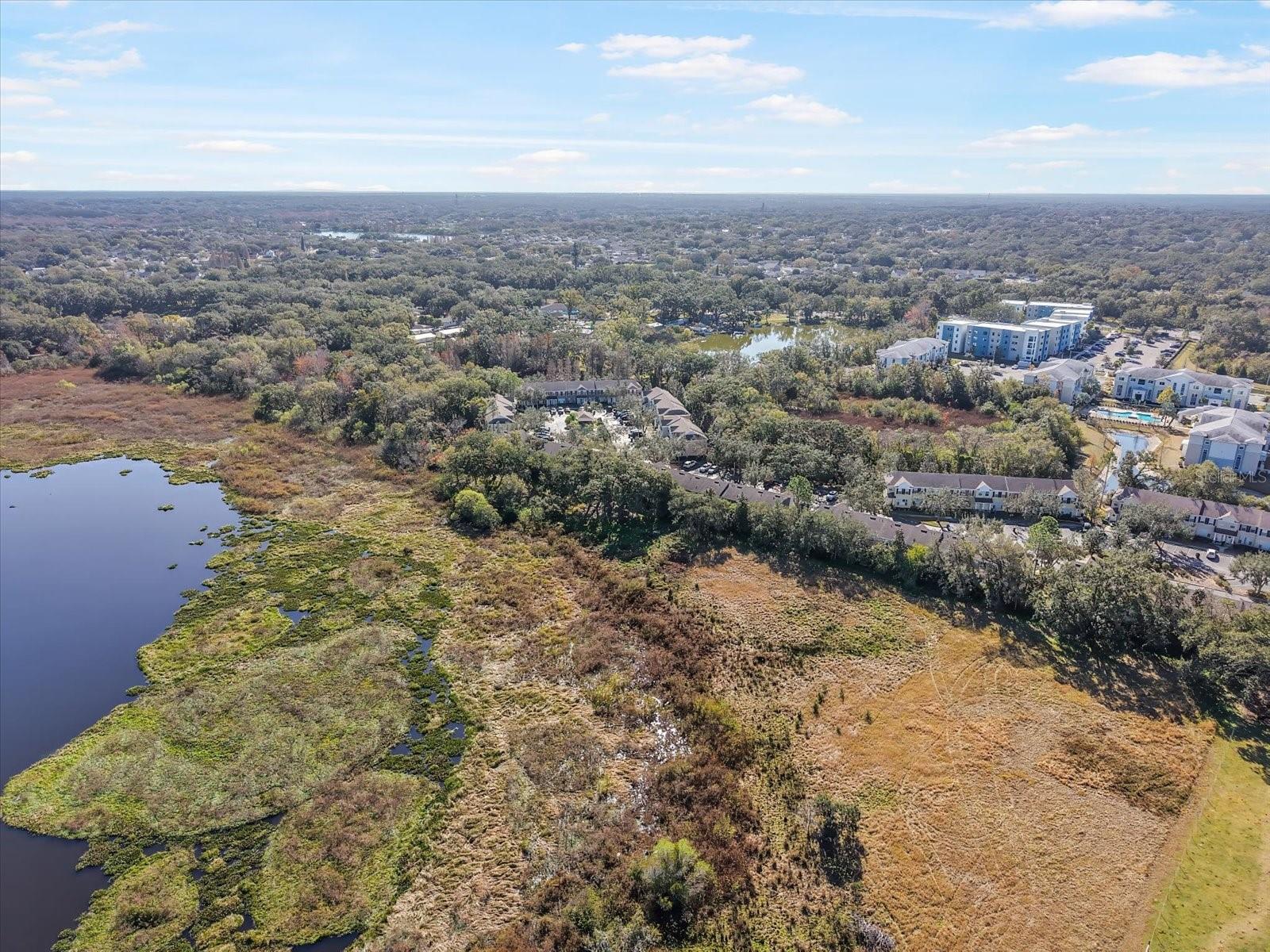 Image 31 of 32 For 11008 Black Swan Court