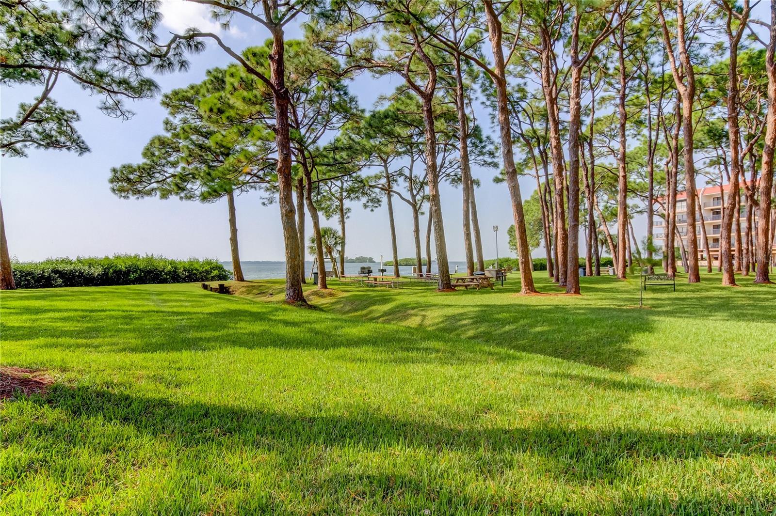 Image 63 of 74 For 2700 Bayshore Boulevard 2310