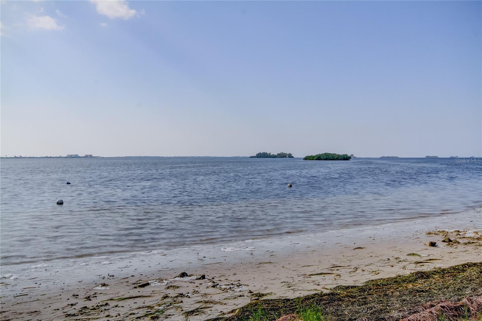 Image 66 of 74 For 2700 Bayshore Boulevard 2310