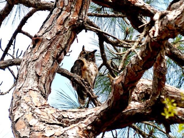 Image 73 of 74 For 2700 Bayshore Boulevard 2310