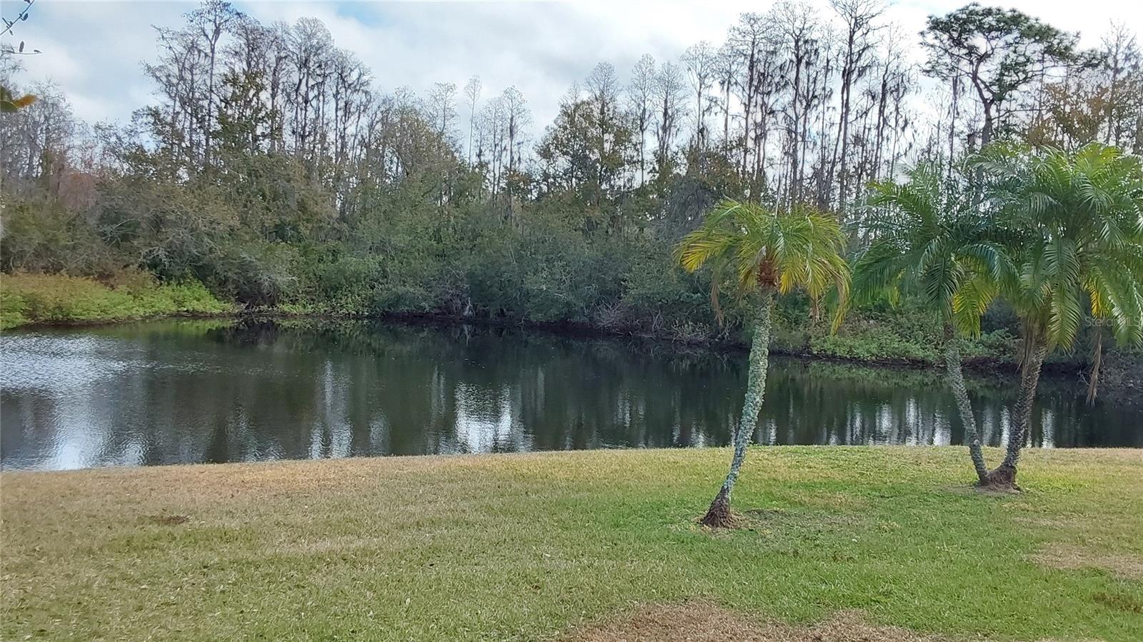 Image 47 of 54 For 1932 Grenville Court