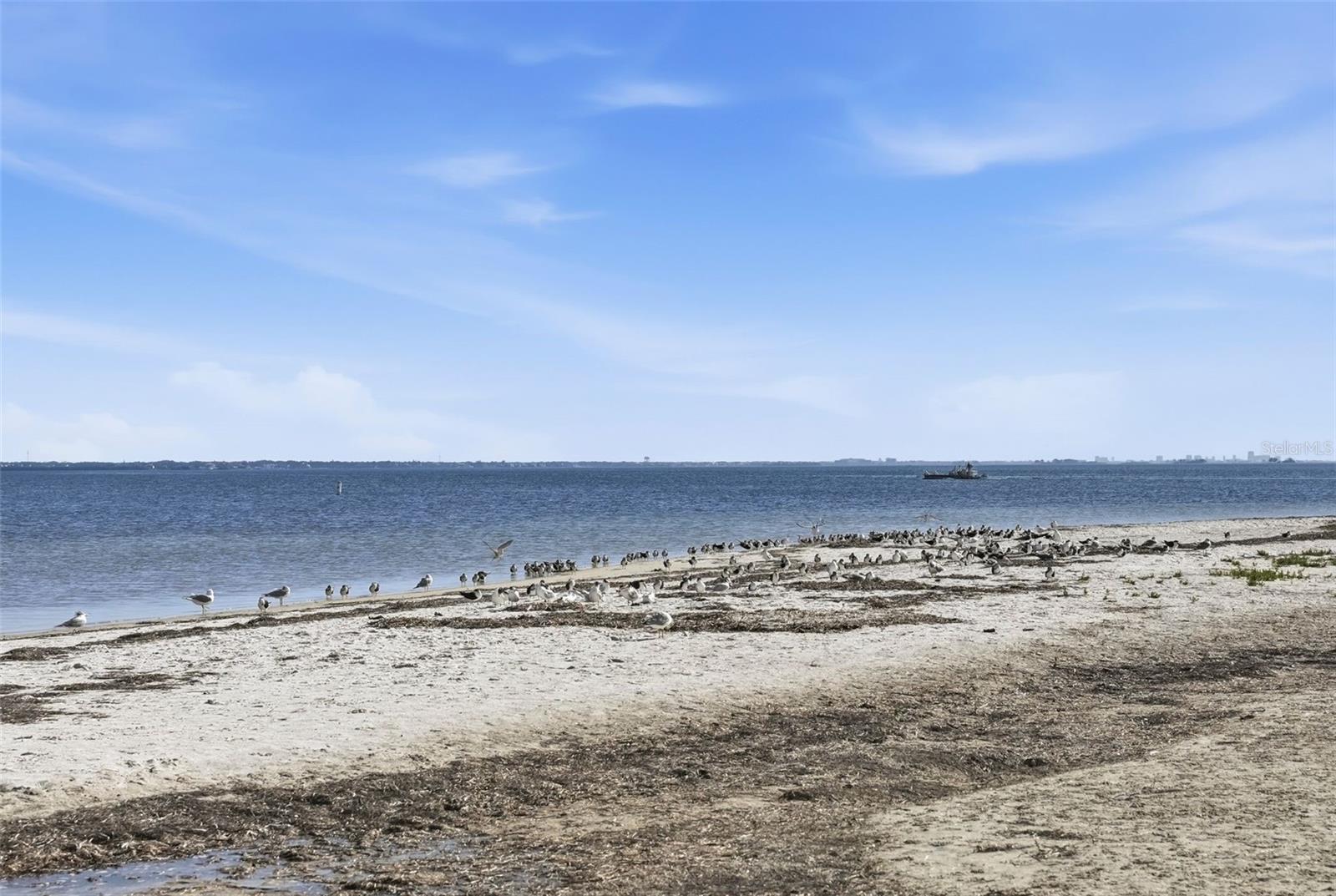 Image 50 of 59 For 500 Sanibel Court