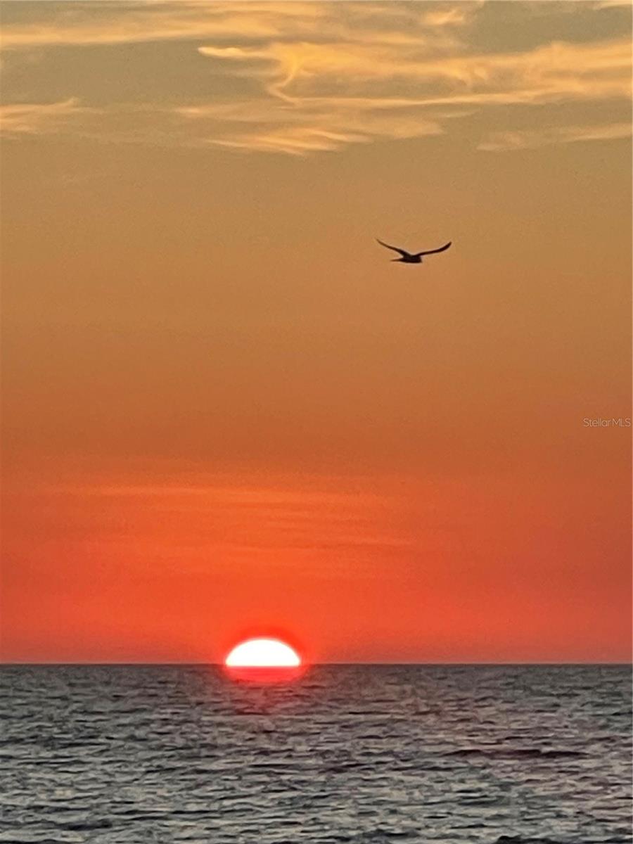 Image 58 of 59 For 500 Sanibel Court