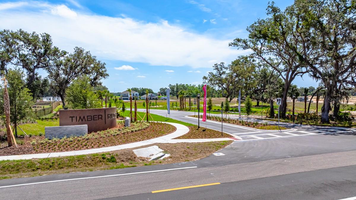 Image 16 of 39 For 3412 Lumber Falls Drive