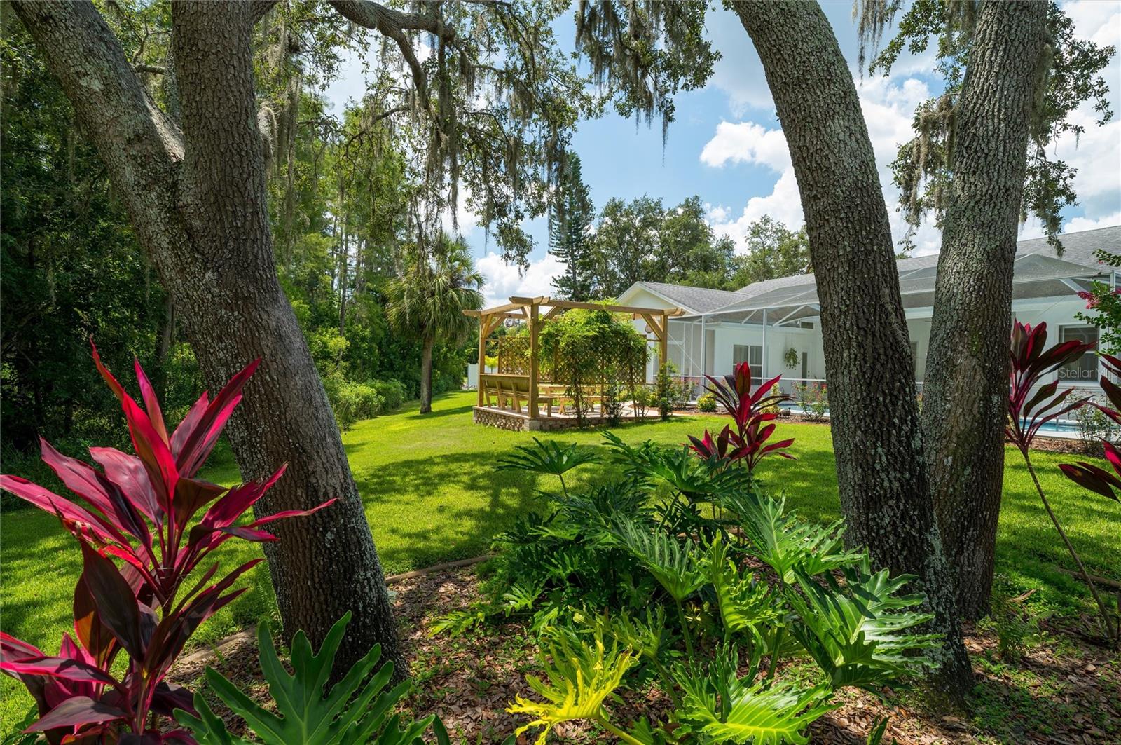 Listing photo id 28 for 9915 Hermosillo Drive