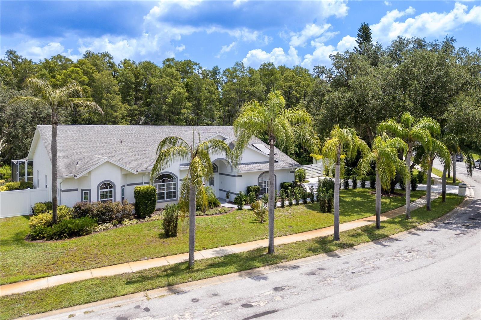 Listing photo id 34 for 9915 Hermosillo Drive