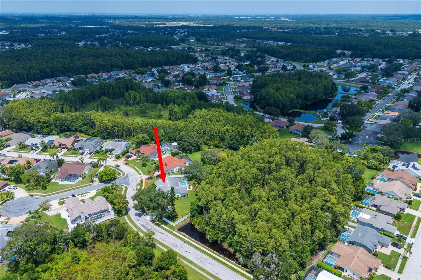 Listing photo id 37 for 9915 Hermosillo Drive