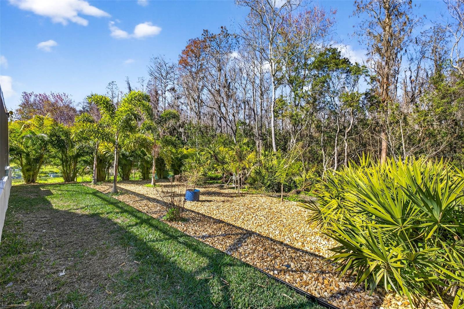 Listing photo id 64 for 19145 Cypress Green Drive