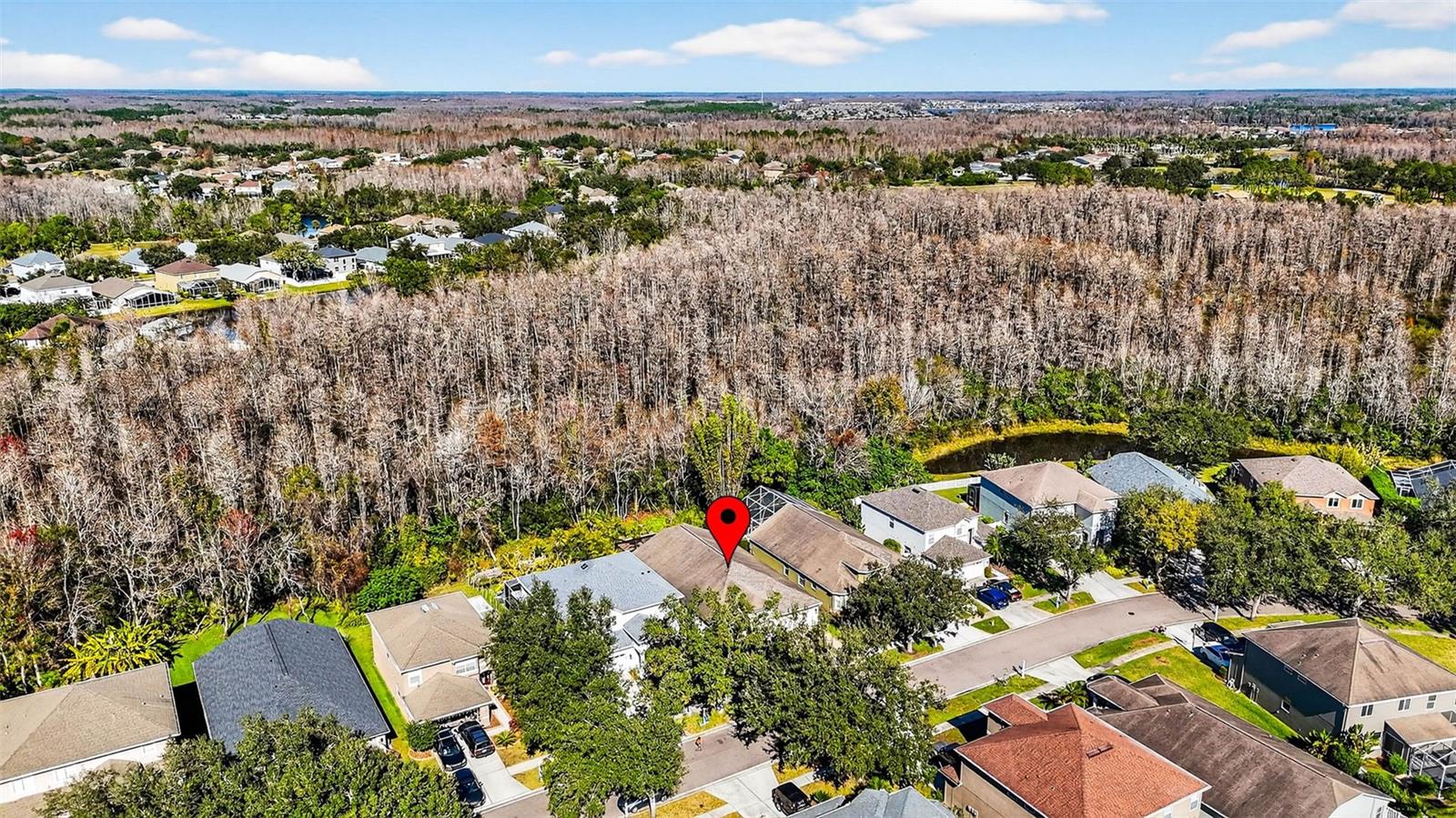 Listing photo id 69 for 19145 Cypress Green Drive