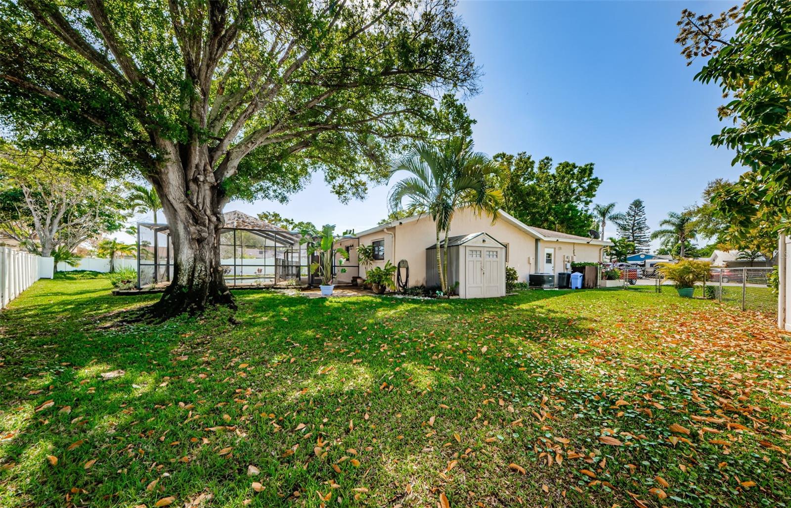 Image 2 of 17 For 6311 103rd Avenue N