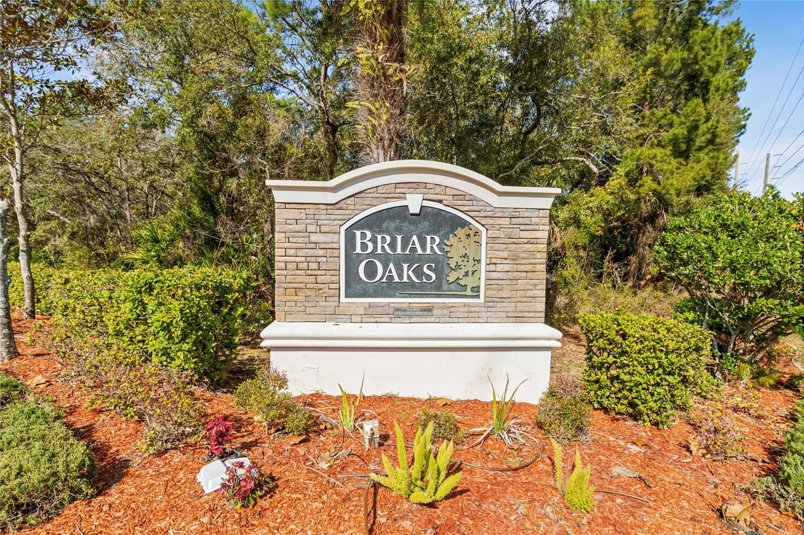 Image 41 of 43 For 10111 Penwood Way