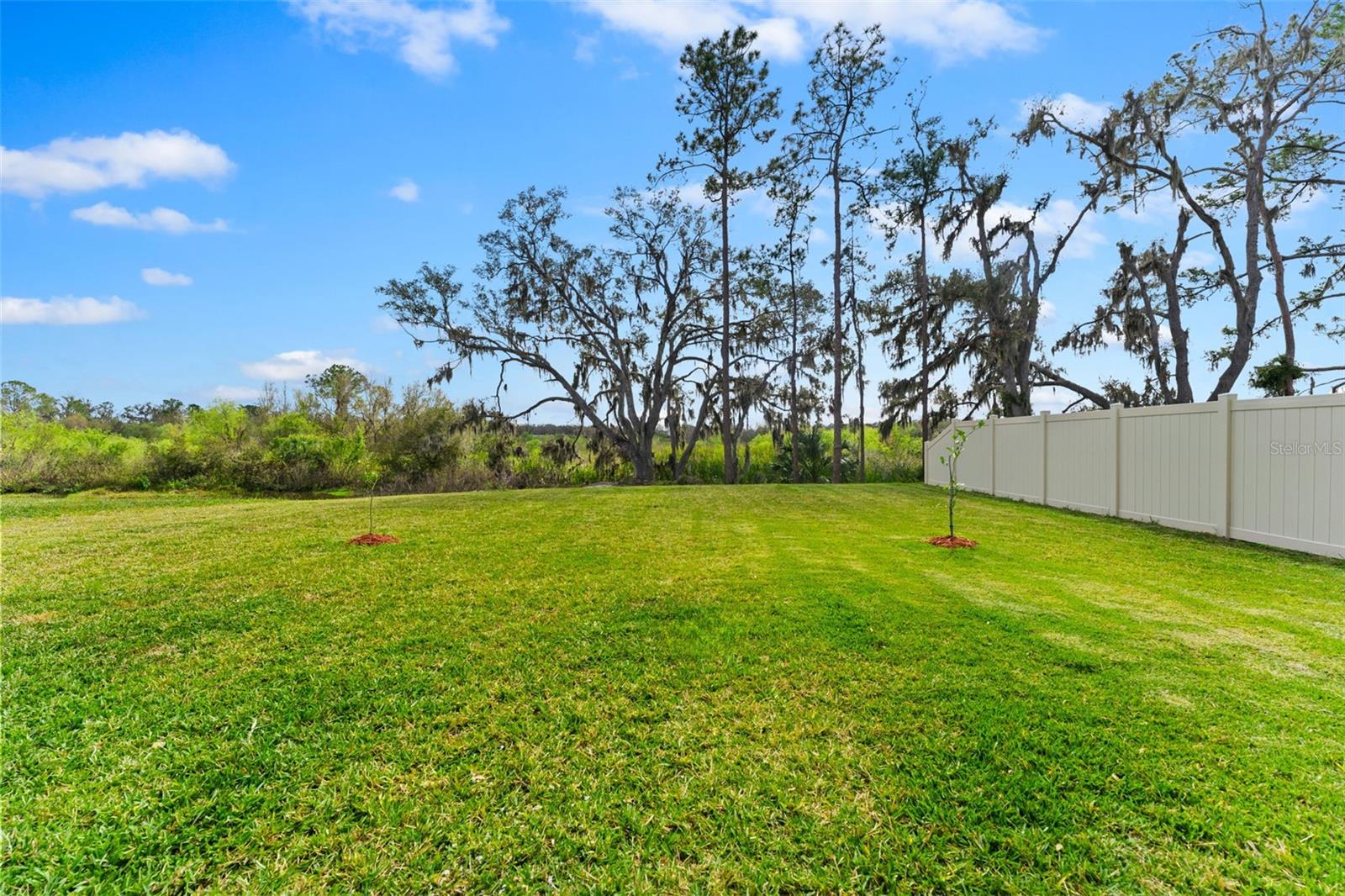 Image 22 of 24 For 1454 Tahitian Sunrise Drive