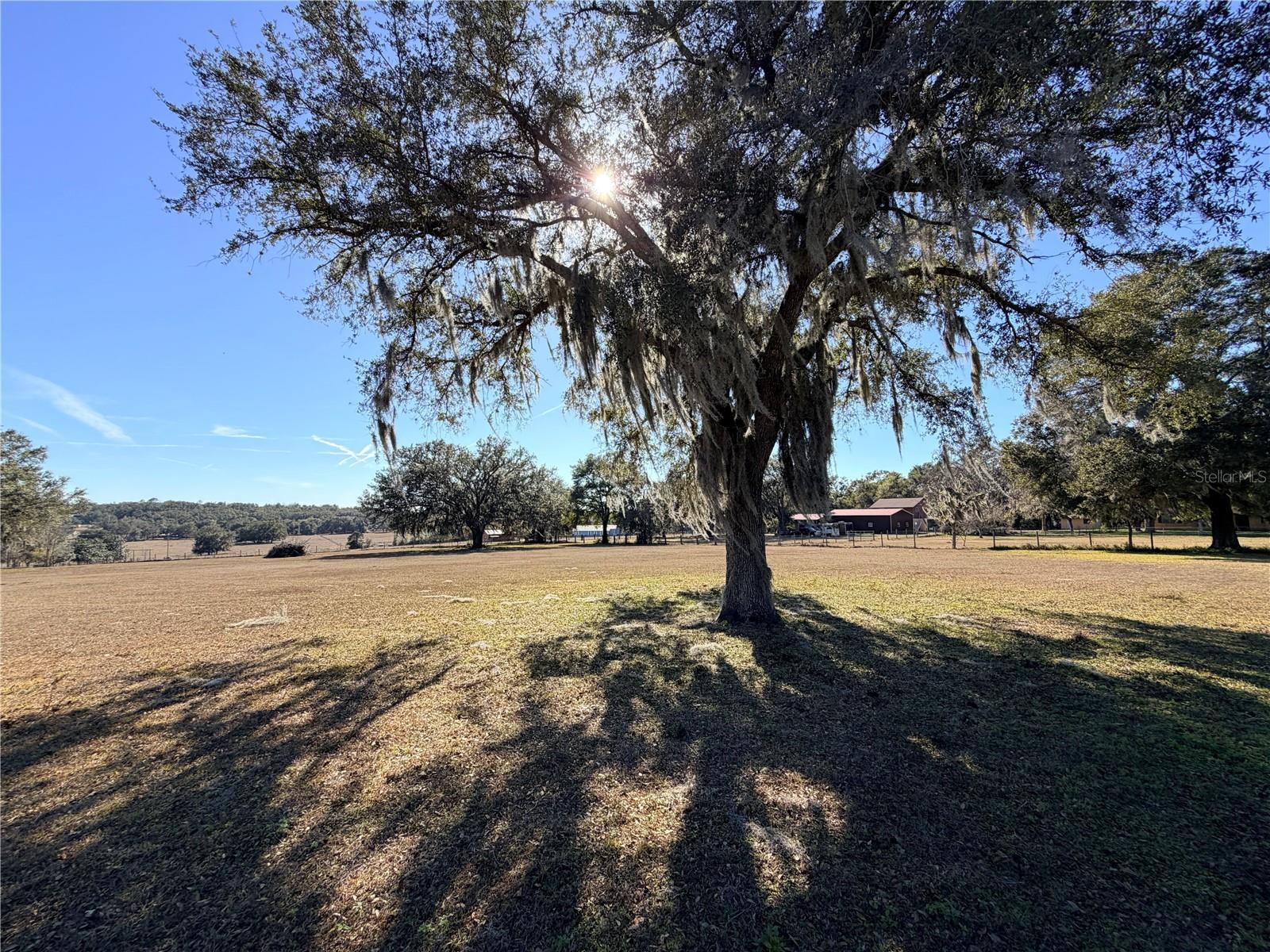 Image 10 of 50 For 35324 Blanton Road