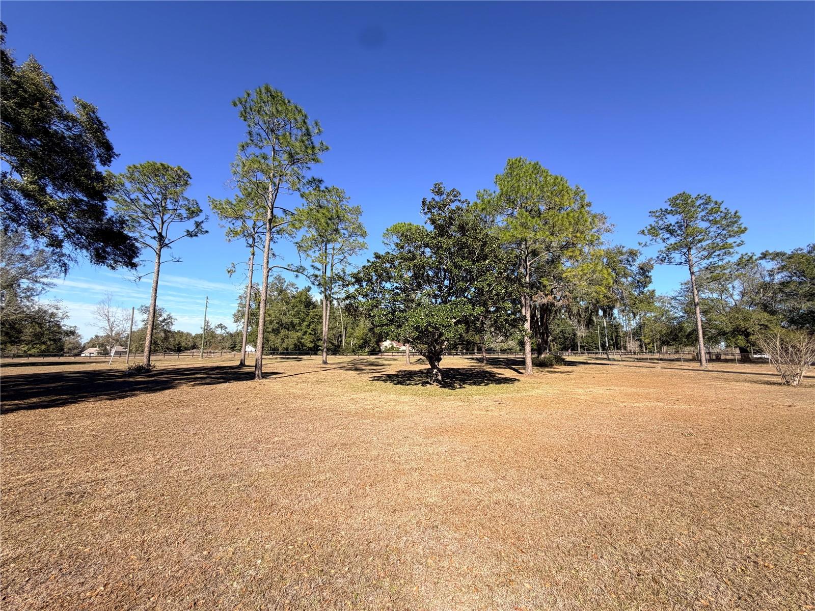 Image 13 of 50 For 35324 Blanton Road