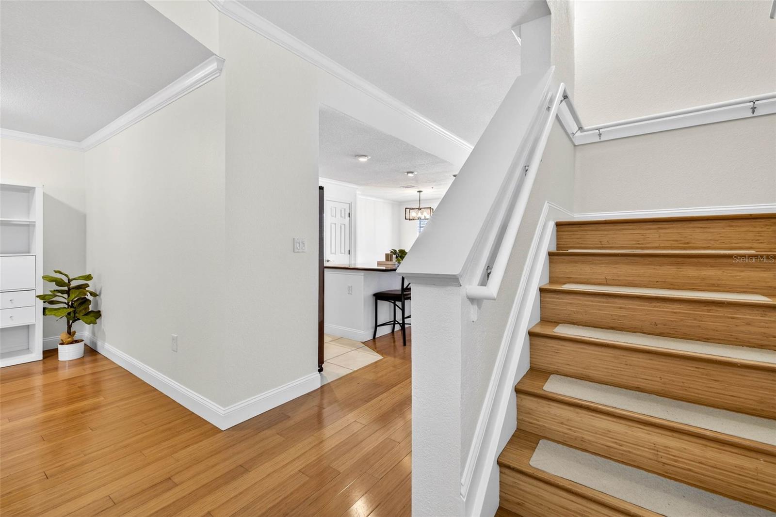 Image 7 of 48 For 9836 Park Village Drive