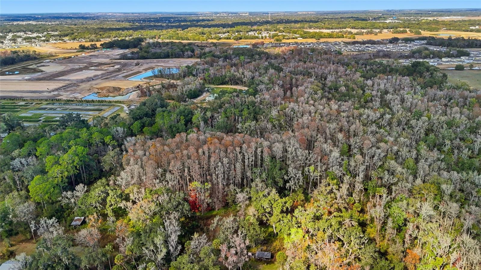 Image 10 of 12 For Higginson Road