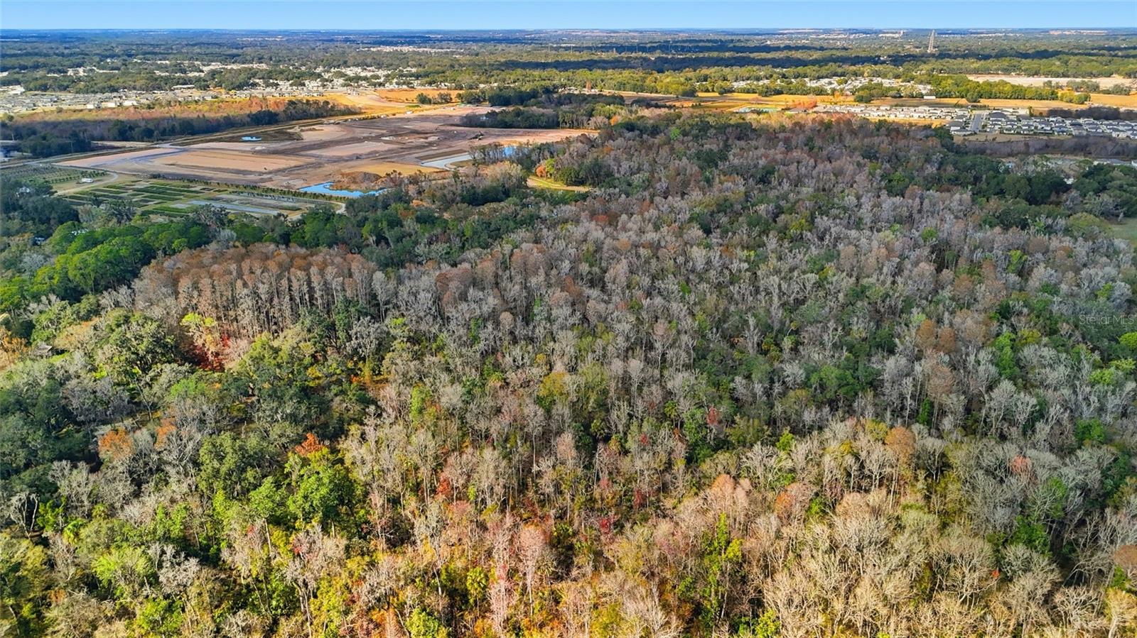 Image 11 of 12 For Higginson Road