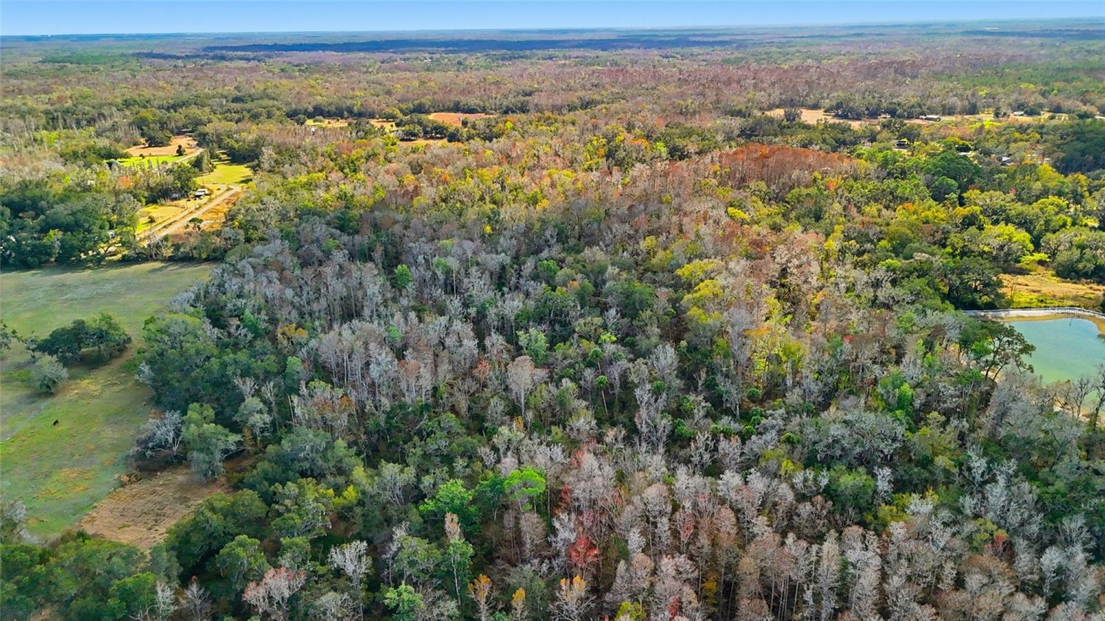 Image 12 of 12 For Higginson Road