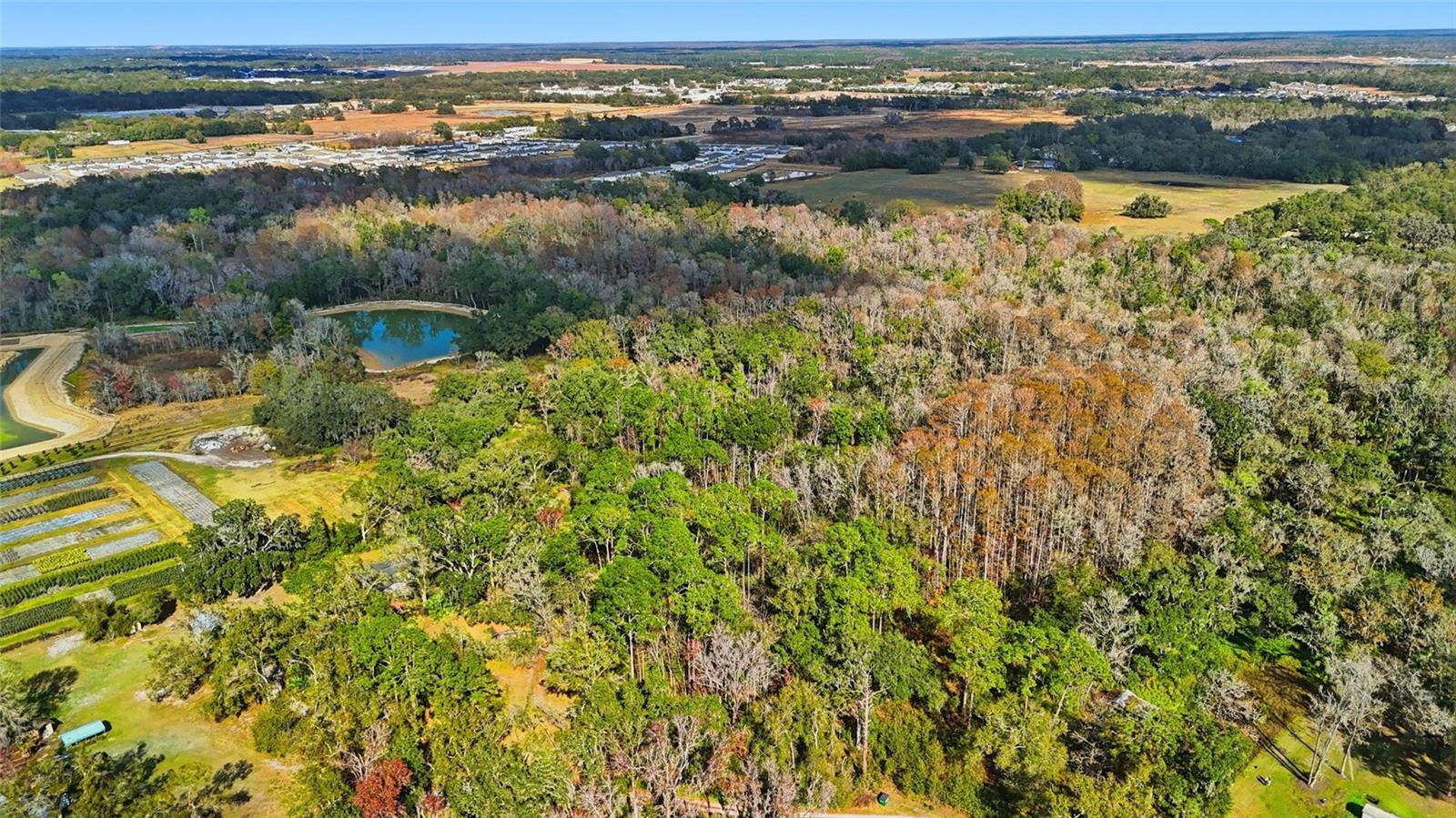 Image 7 of 12 For Higginson Road