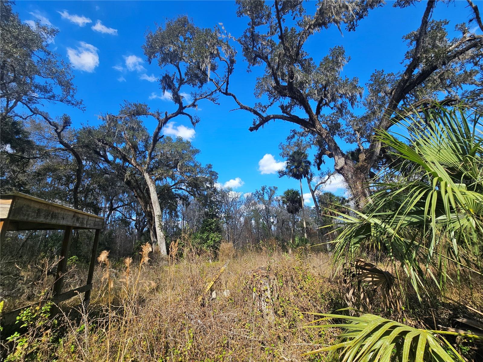 Image 8 of 12 For Higginson Road