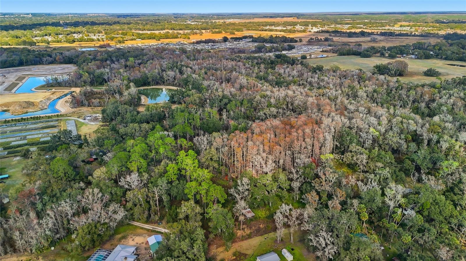 Image 9 of 12 For Higginson Road