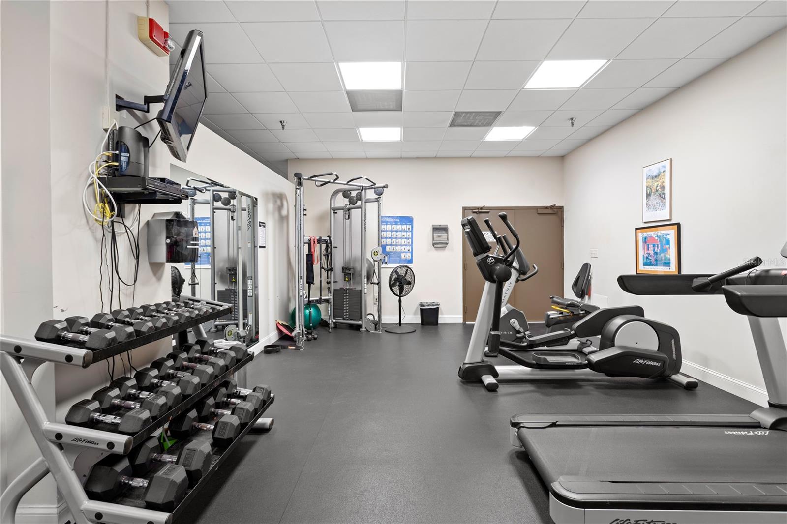 Image 48 of 65 For 2413 Bayshore Boulevard 1504