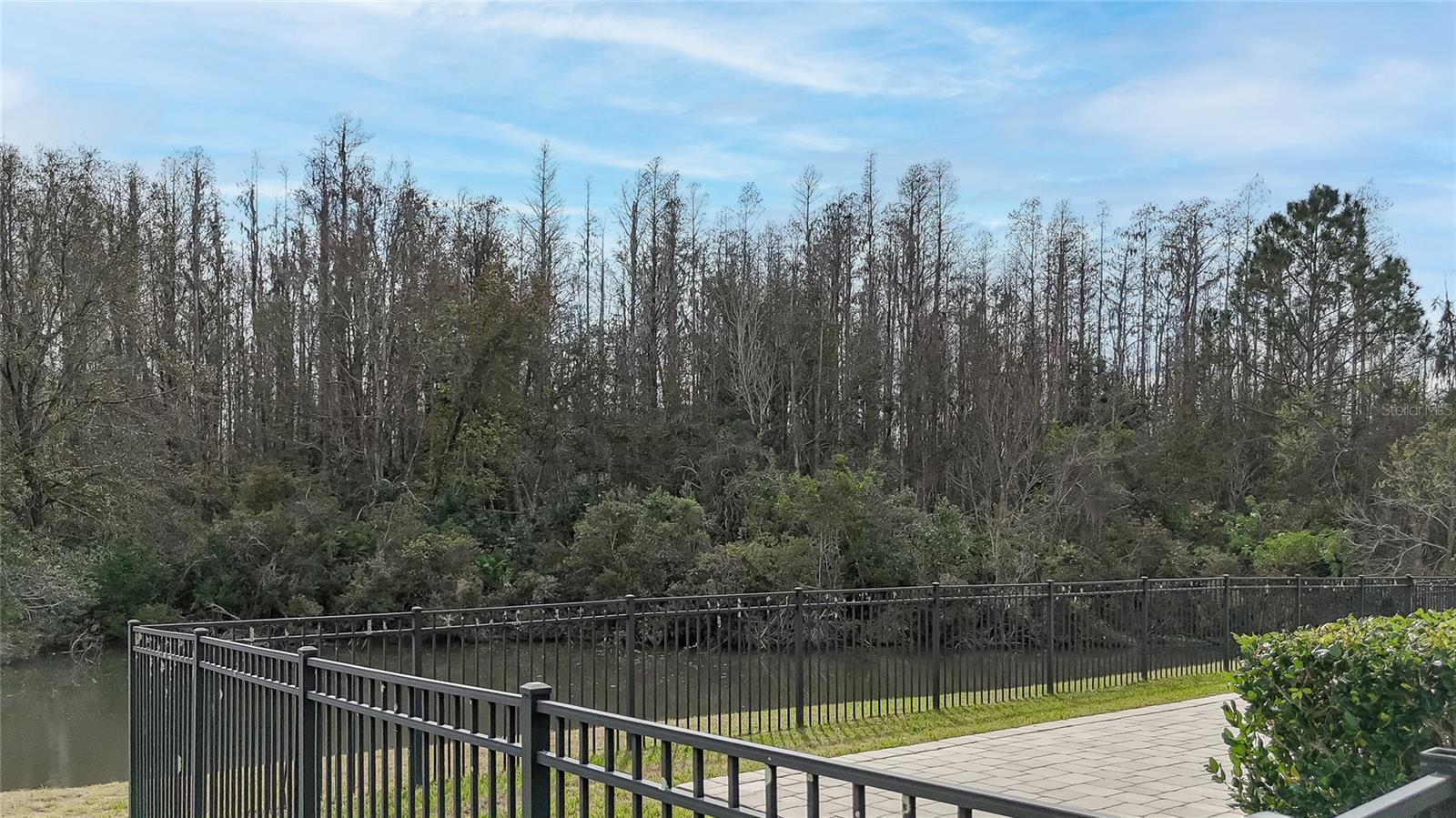 Listing photo id 11 for 31656 Marchester Drive