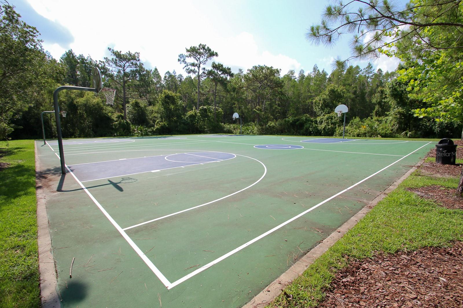 Listing photo id 49 for 31656 Marchester Drive