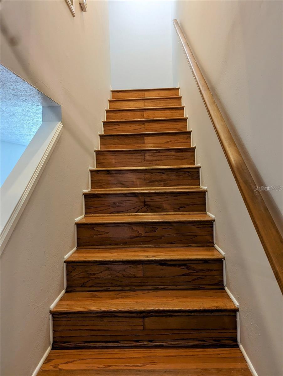 Image 9 of 23 For 5401 Bayshore Boulevard N