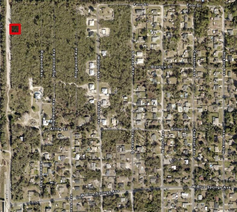 Image 6 of 7 For 200 Magnolia Avenue