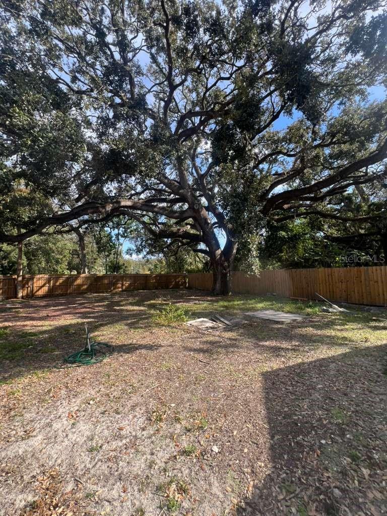 Image 28 of 41 For 4311 25th Street