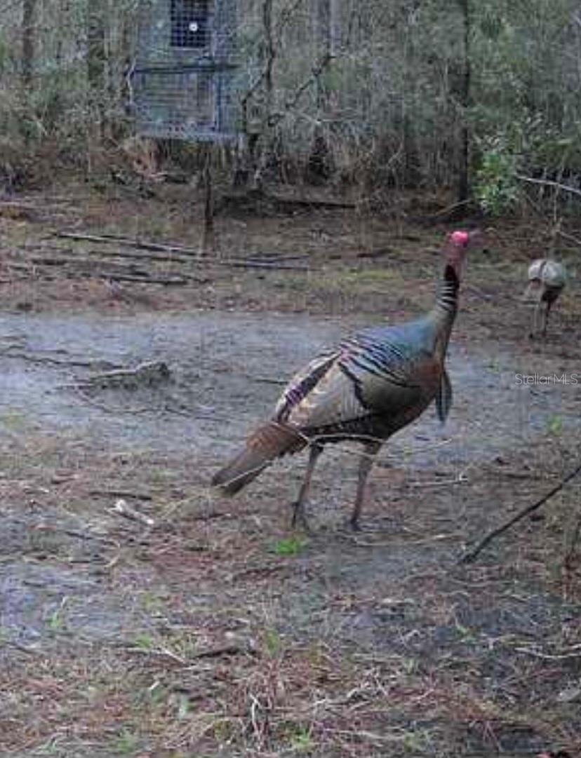 Image 6 of 9 For Clyatt Road